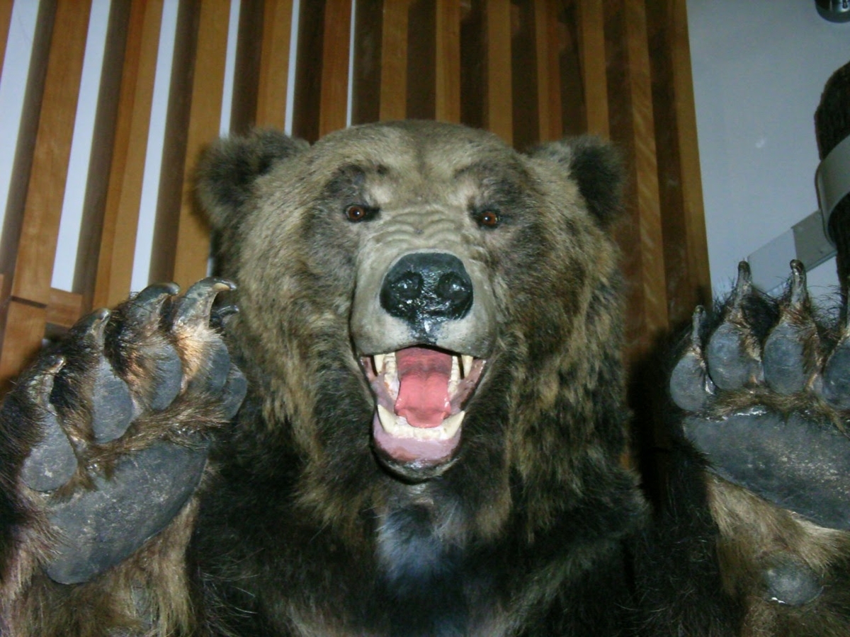 f:id:moritotora:20211014155420j:plain