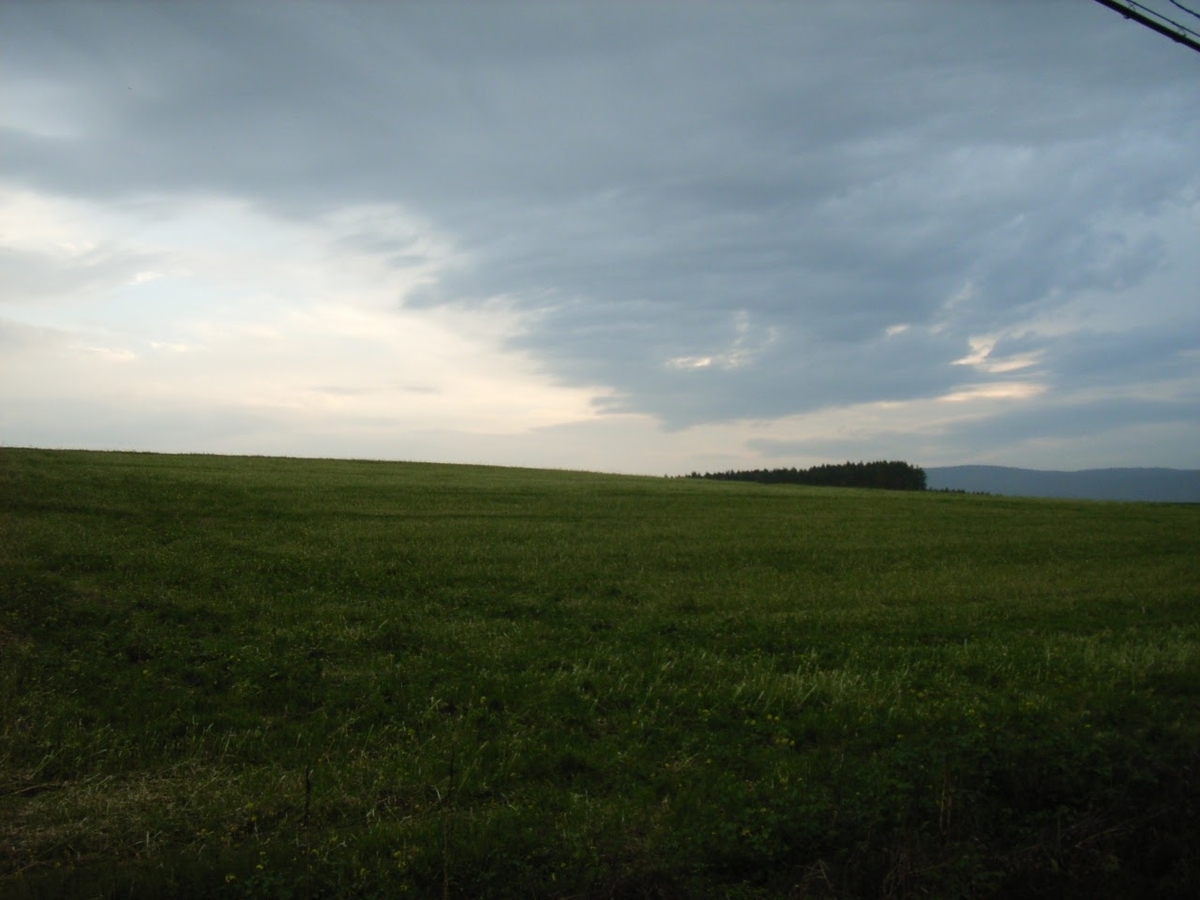 f:id:moritotora:20211014160519j:plain