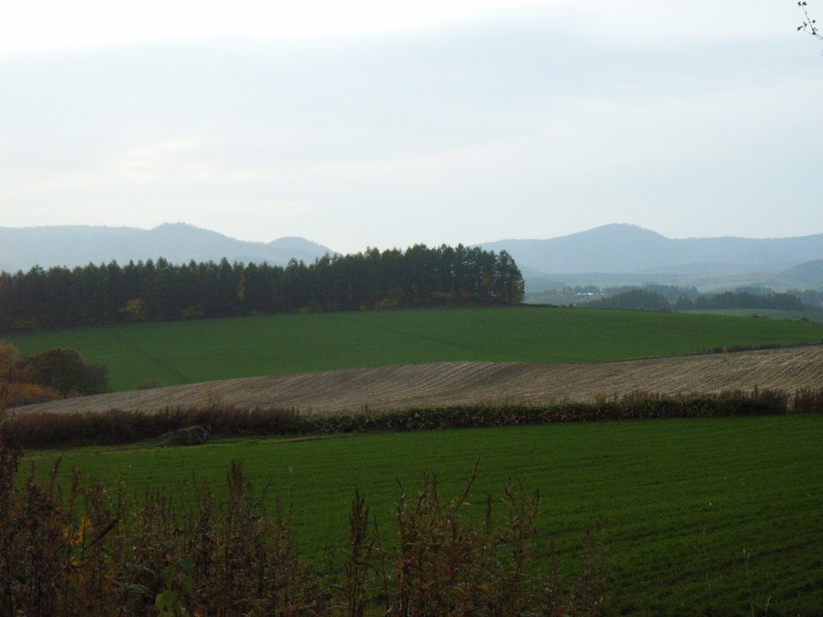 f:id:moritotora:20211014160537j:plain