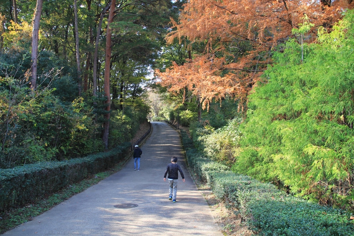 f:id:moritotora:20211121105538j:plain