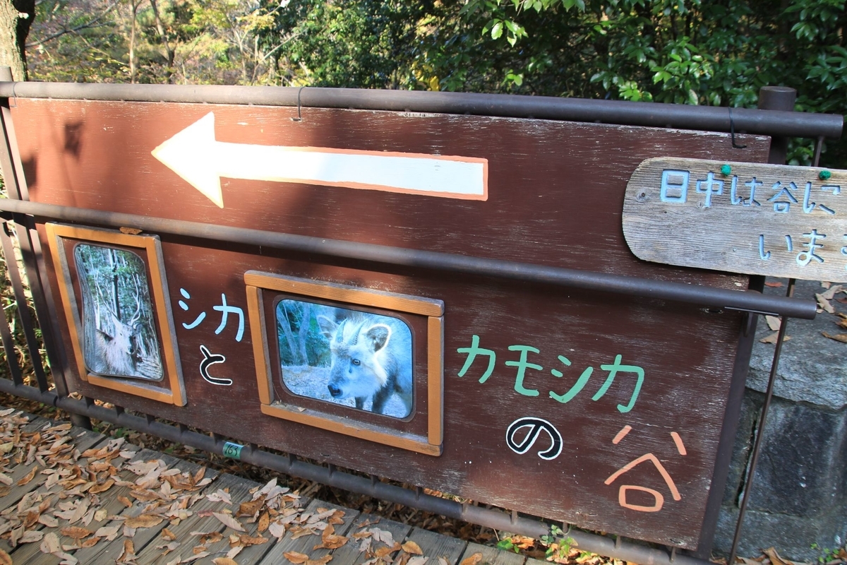 f:id:moritotora:20211121105945j:plain