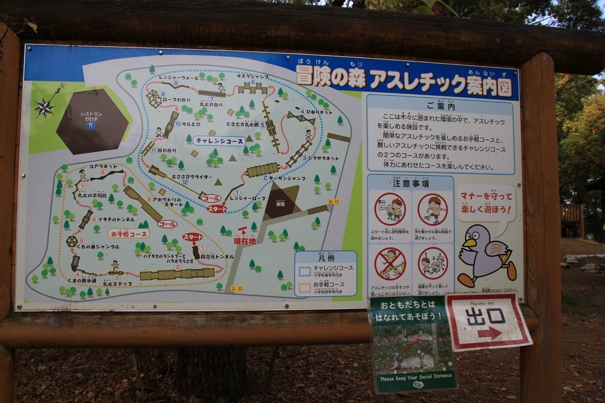 f:id:moritotora:20211121110535j:plain