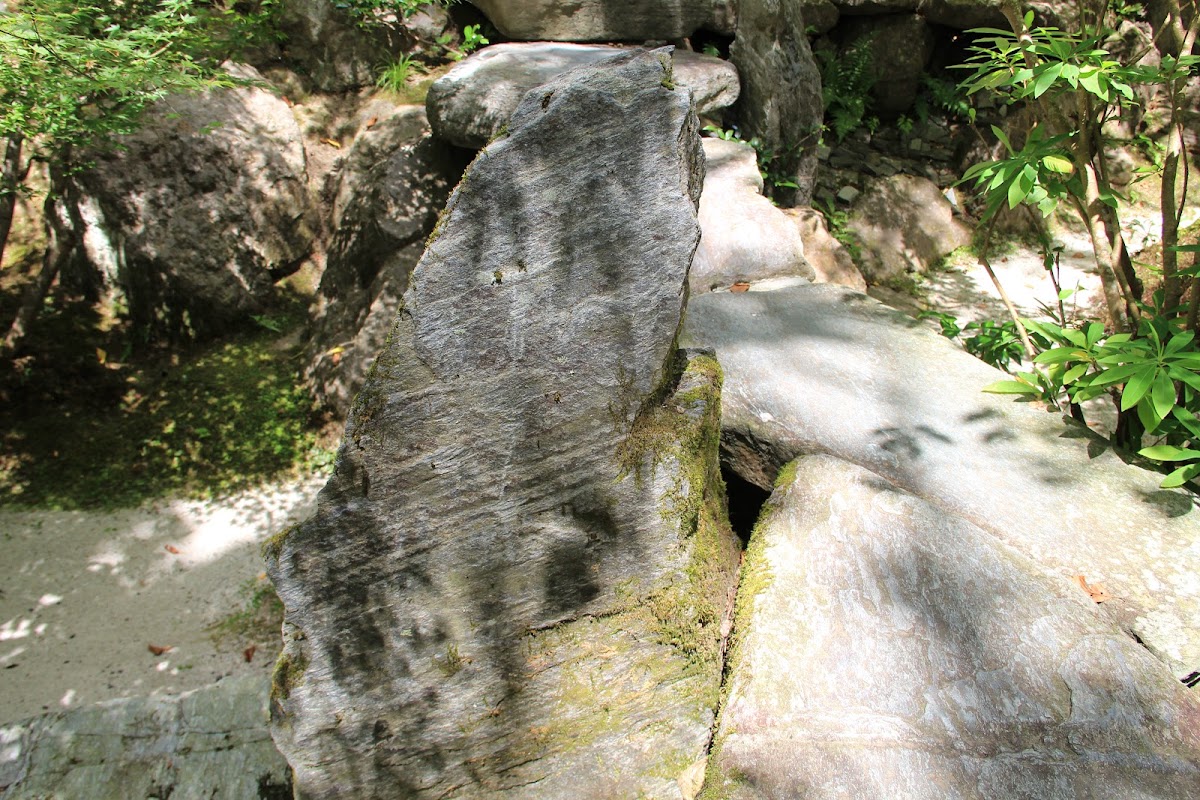 f:id:moritotora:20211223202427j:plain