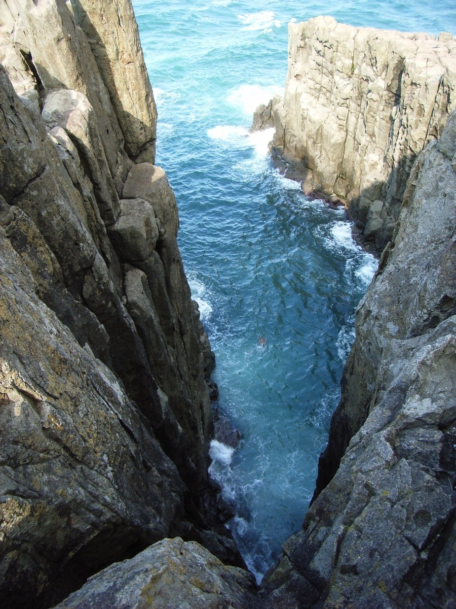 f:id:moritotora:20211231102512j:plain