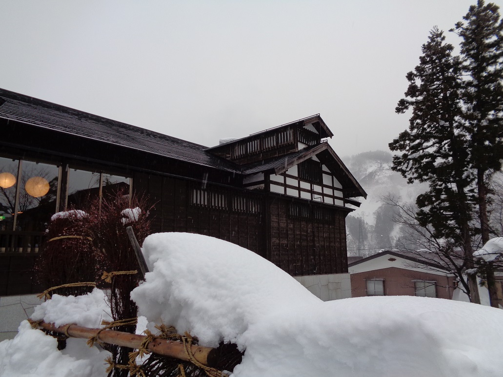 f:id:moritotora:20220112000223j:plain