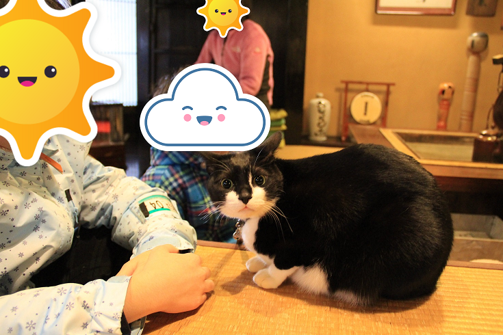 f:id:moritotora:20220212090041p:plain