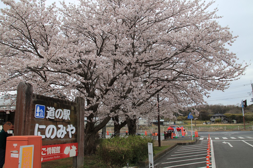 f:id:moritotora:20220403193327j:plain