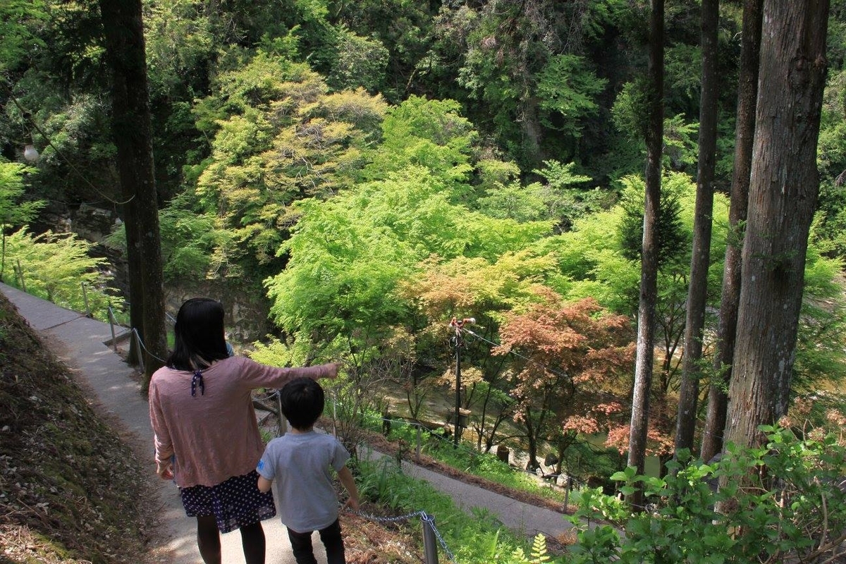 f:id:moritotora:20220407195603j:plain