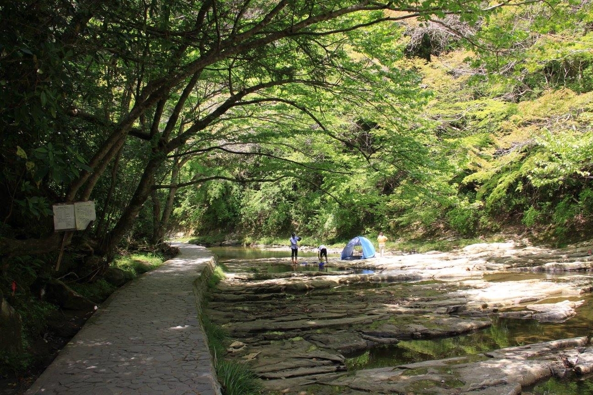f:id:moritotora:20220407195848j:plain
