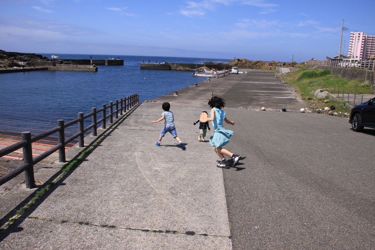 f:id:moritotora:20220411235548j:plain