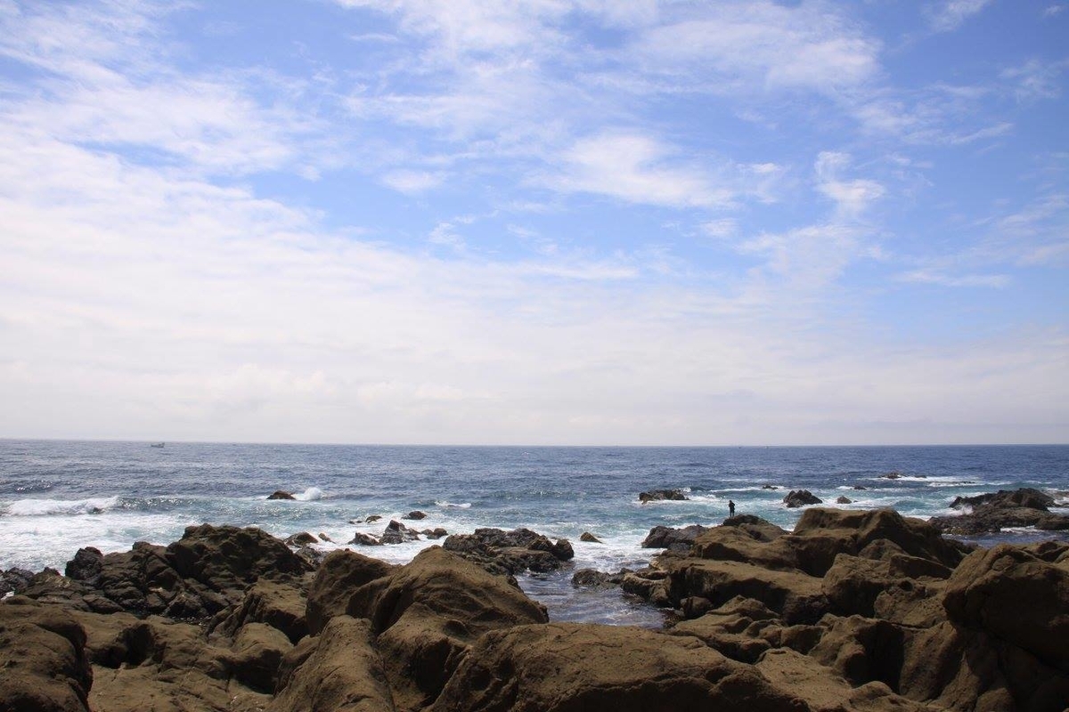 f:id:moritotora:20220411235655j:plain