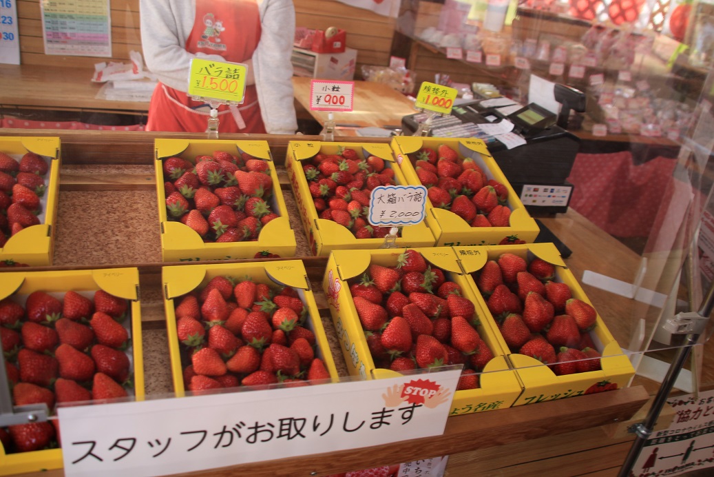 f:id:moritotora:20220412154350j:plain