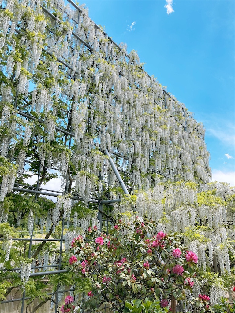 f:id:moritsubaki:20210507095234j:image f:id:moritsubaki:20210507095234j:image