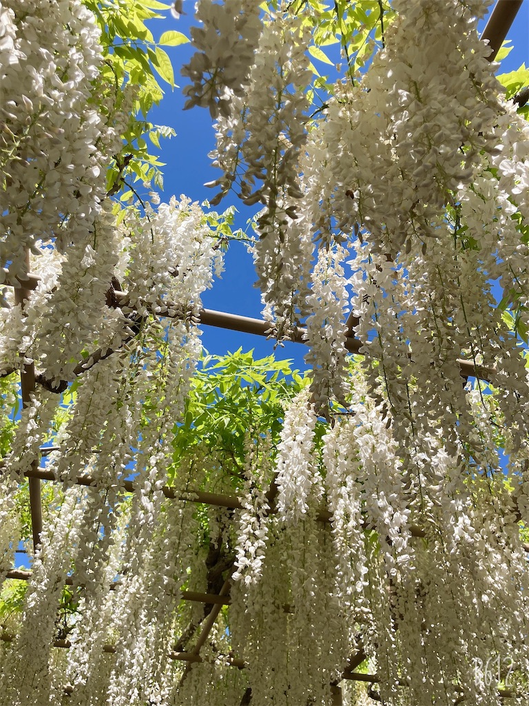 f:id:moritsubaki:20210507095240j:image f:id:moritsubaki:20210507095240j:image