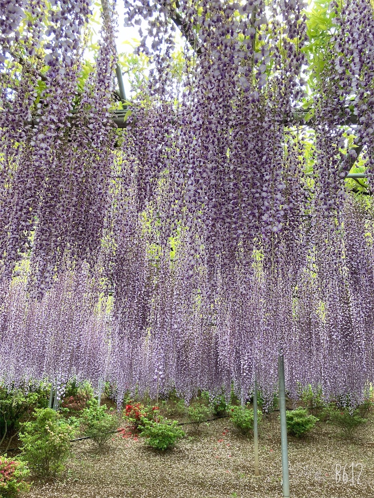 f:id:moritsubaki:20210507095305j:image f:id:moritsubaki:20210507095305j:image