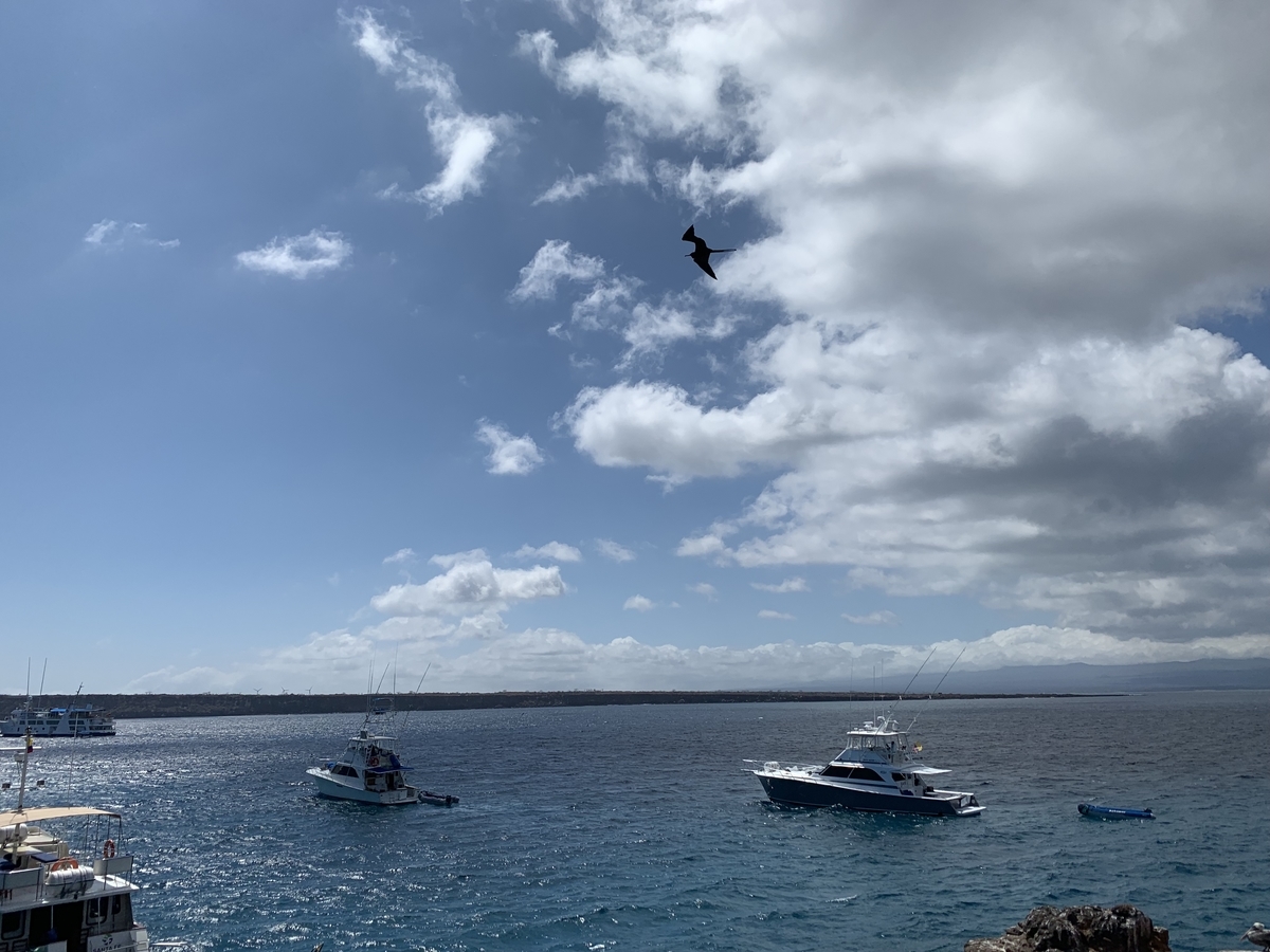 海上に停泊するボート