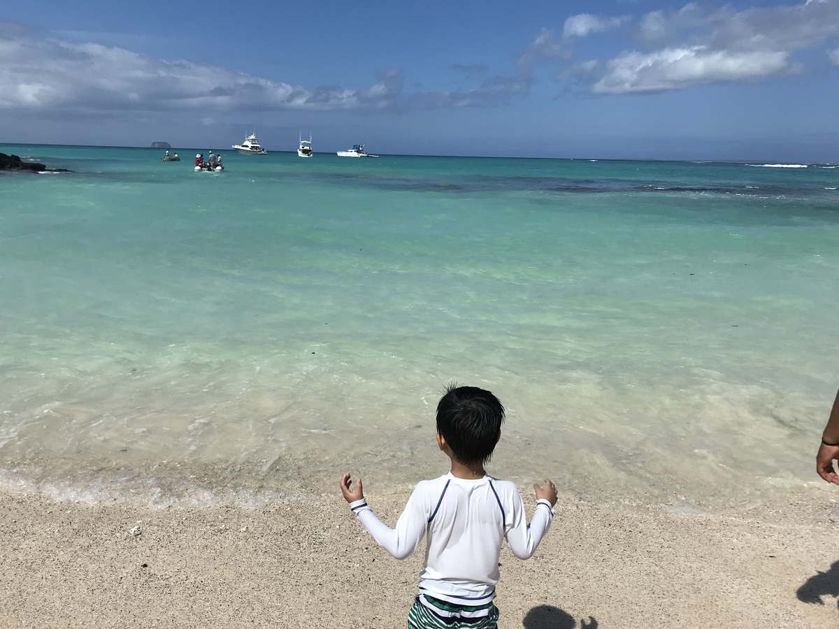 f:id:morityon:20190518042057j:plain