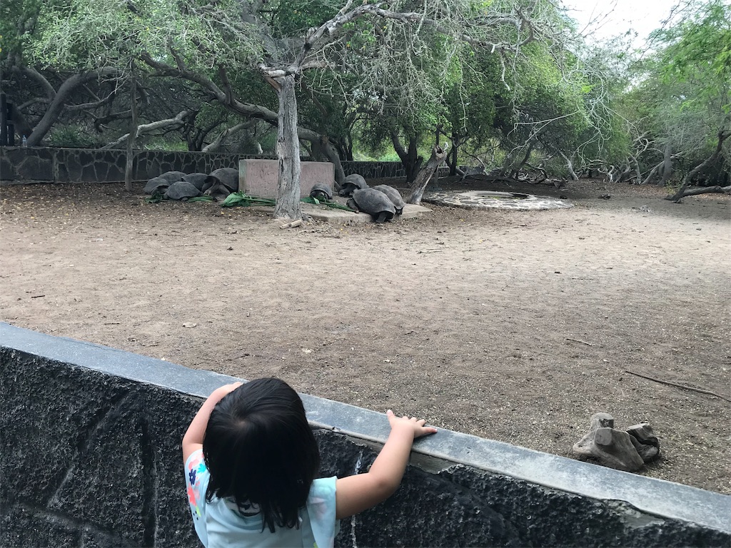 f:id:morityon:20190518063225j:image