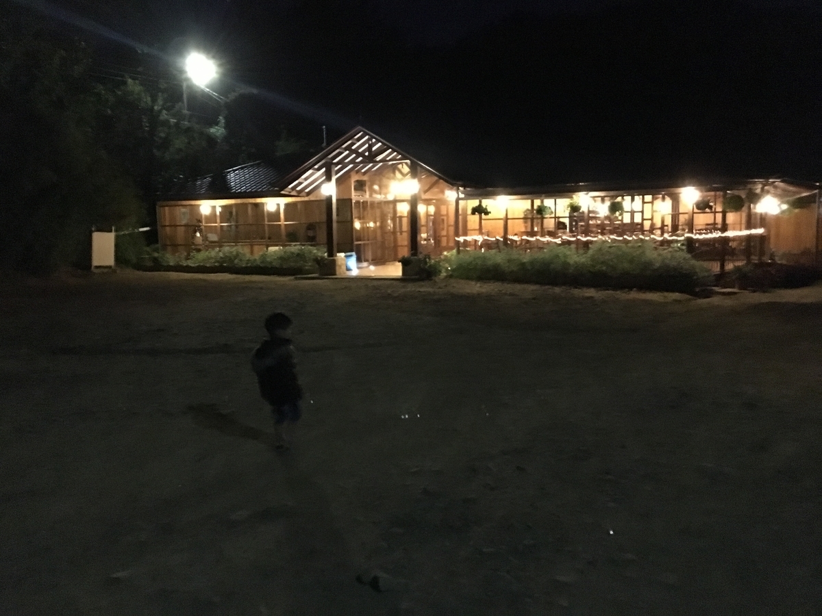 f:id:morityon:20190603031815j:plain