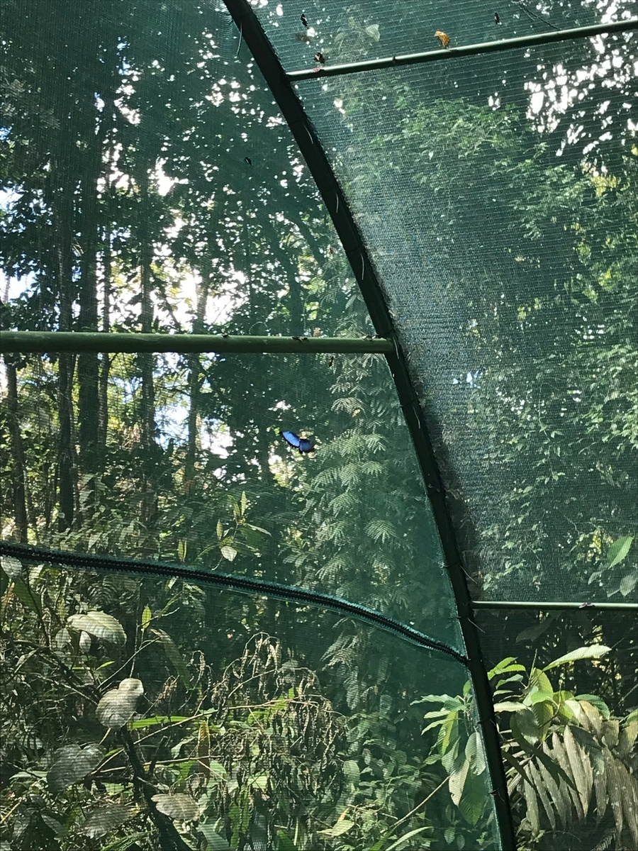 f:id:morityon:20190605032313j:plain f:id:morityon:20190605032313j:plain