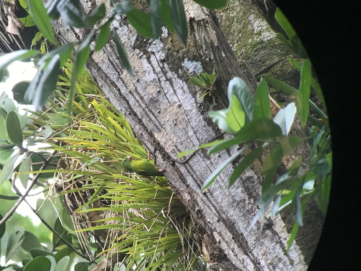 f:id:morityon:20190606024446j:plain