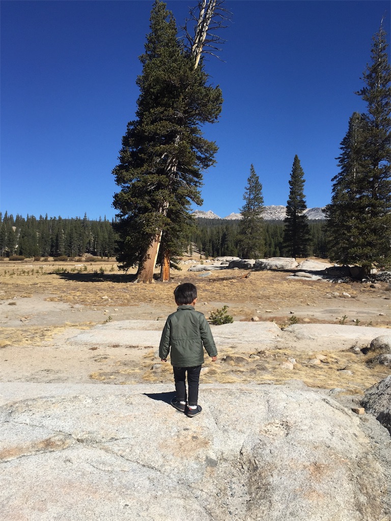 f:id:morityon:20190703043529j:image
