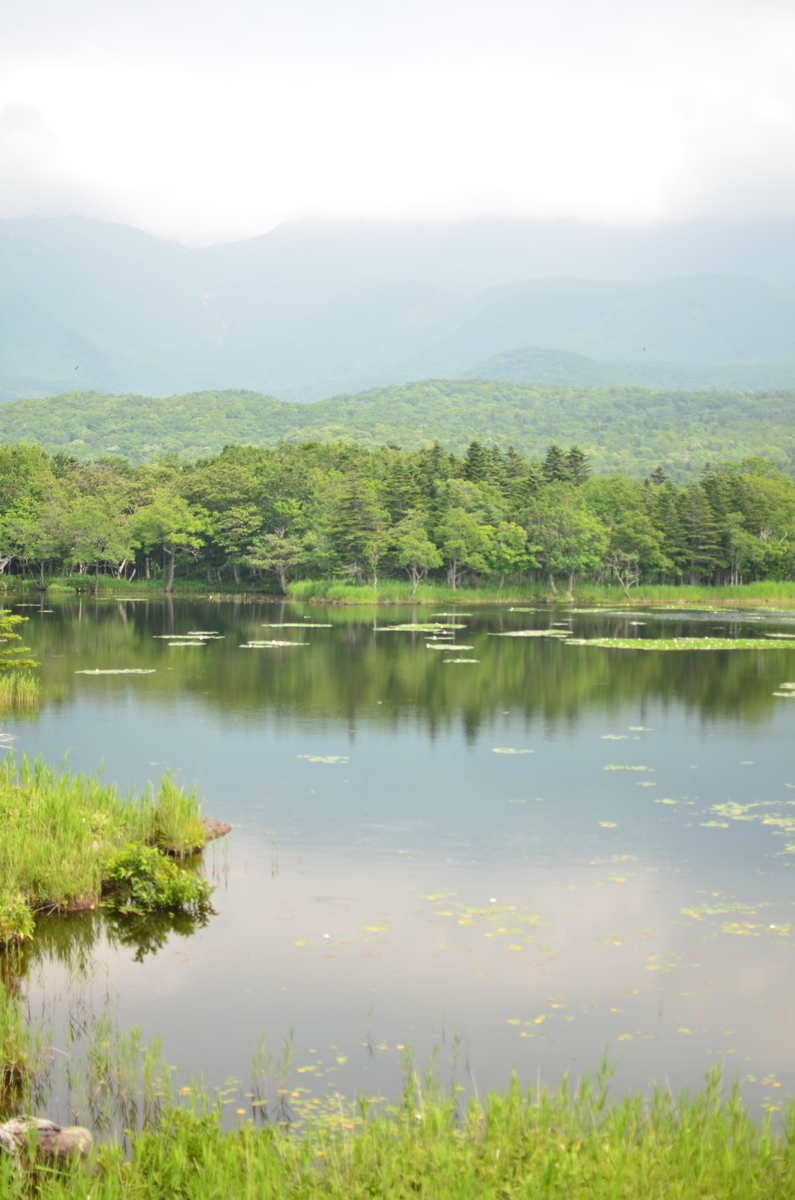 知床五湖の一湖