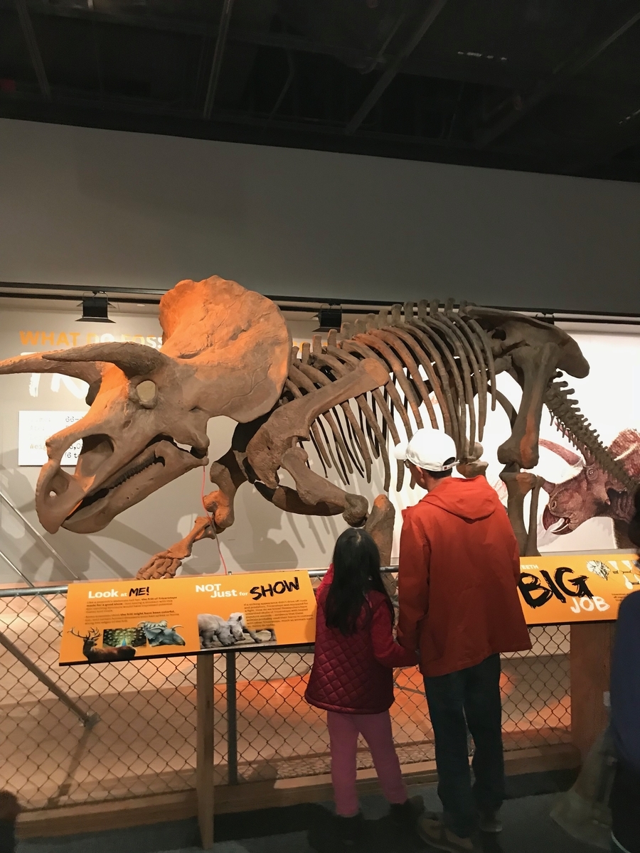 赤ちゃん連れ 17年ワシントンdc子連れ旅行記 自然史博物館 動物好きの子連れ旅行記