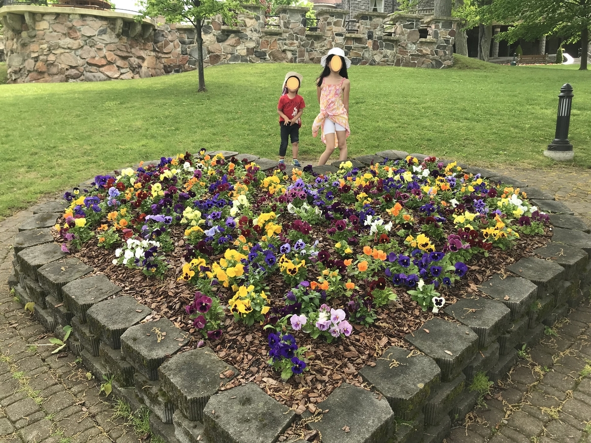 f:id:morityon:20190810035249j:plain