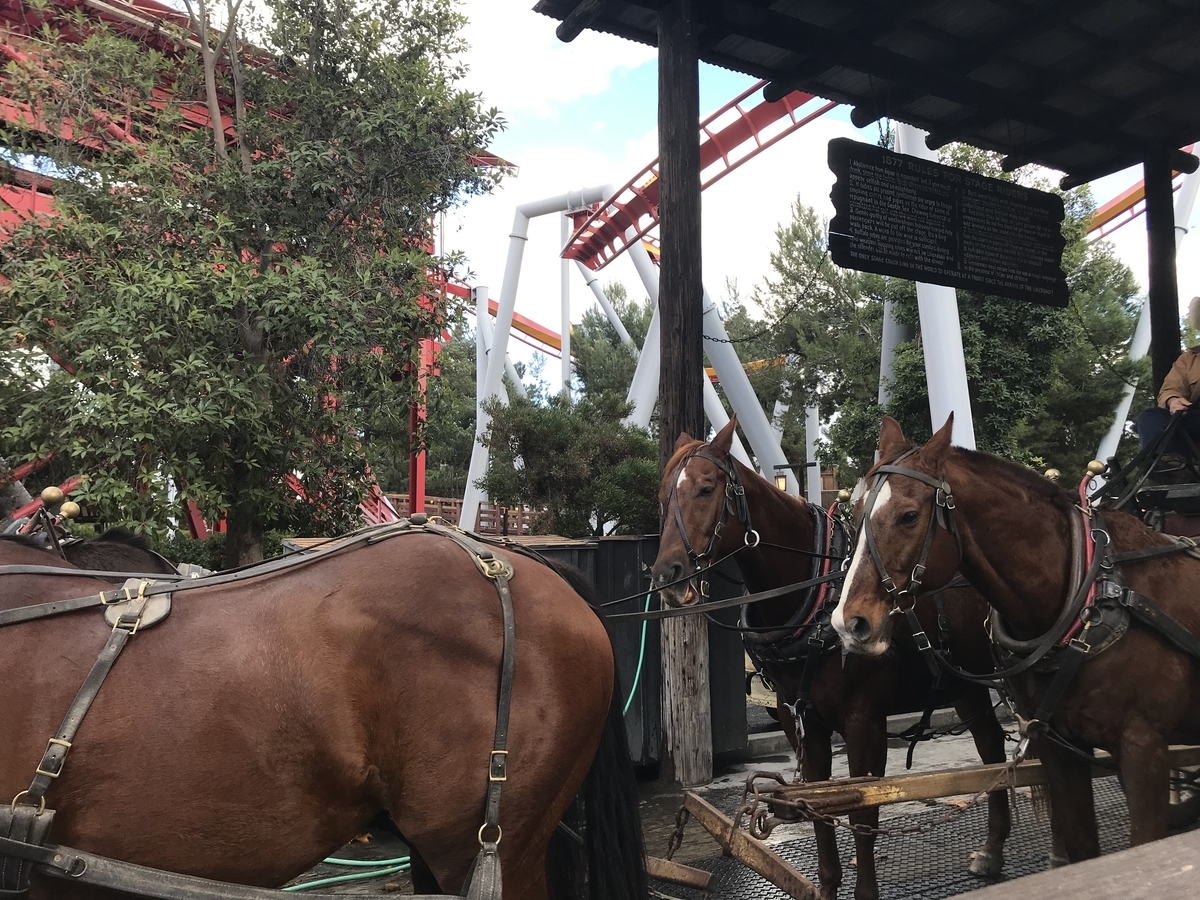 馬車を引く馬