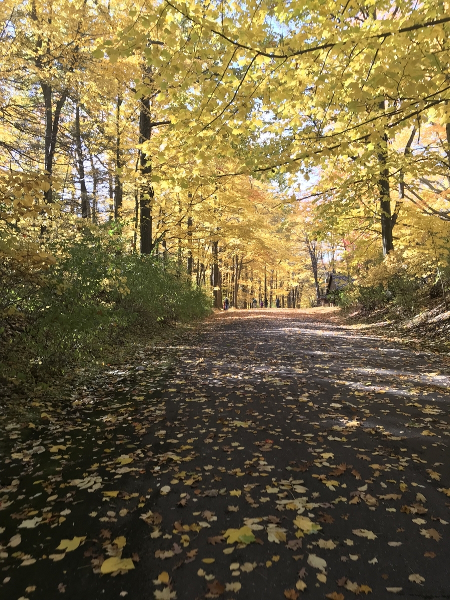 ニューヨーク州でお出かけ 隠れた紅葉スポットdurand Eastman Park 動物好きの子連れ旅行記 ニューヨーク州でお出かけ 隠れた紅葉スポットdurand Eastman Park 動物好きの子連れ旅行記