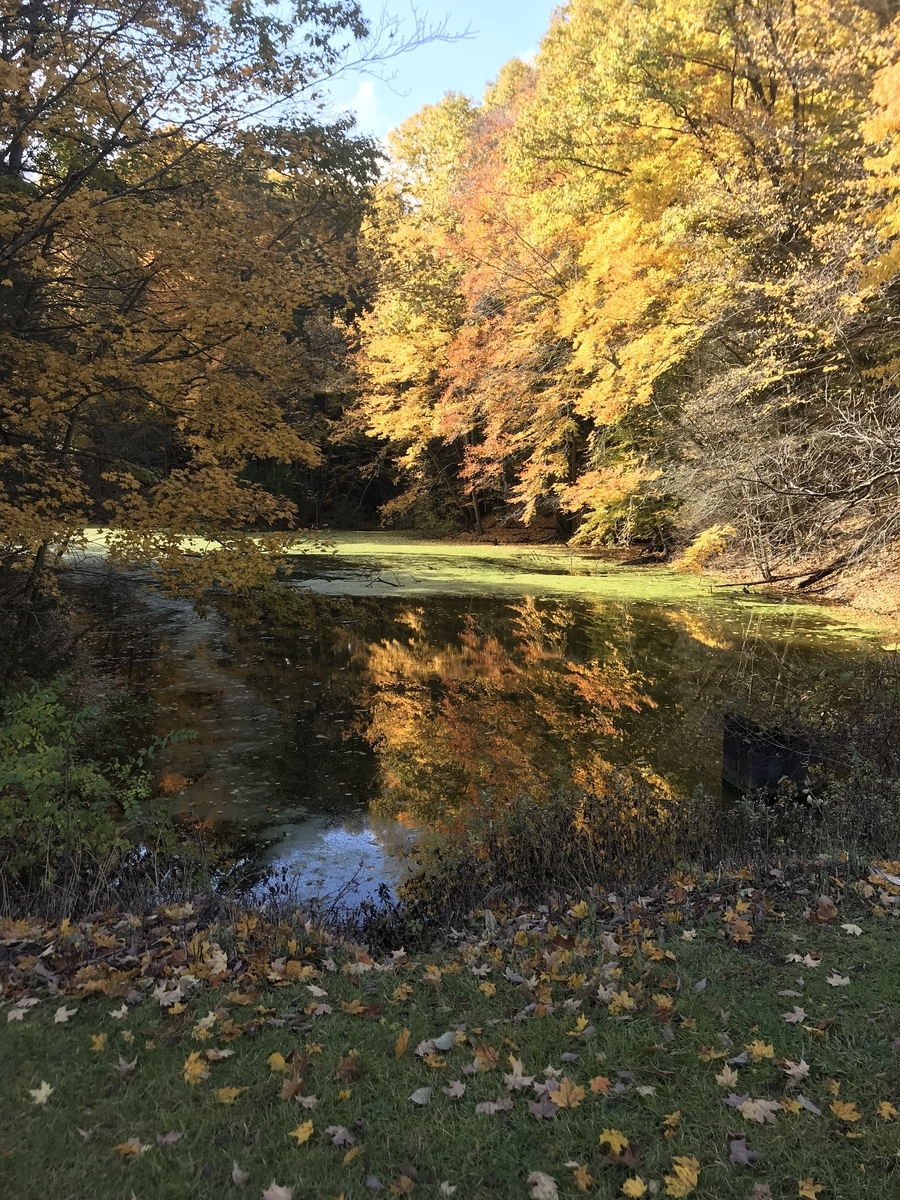 ニューヨーク州でお出かけ 隠れた紅葉スポットdurand Eastman Park 動物好きの子連れ旅行記 ニューヨーク州でお出かけ 隠れた紅葉スポットdurand Eastman Park 動物好きの子連れ旅行記
