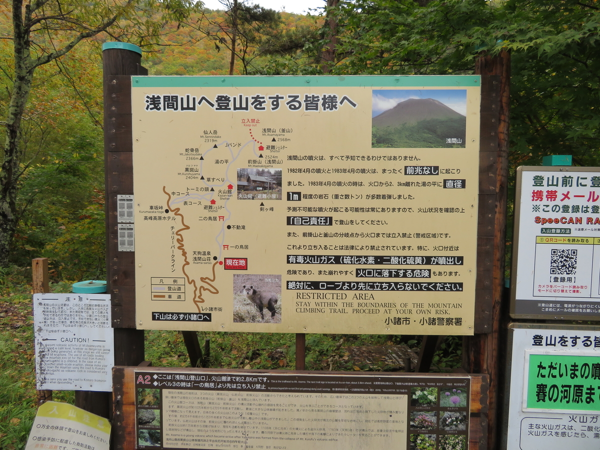 f:id:morityon:20210112212509j:plain