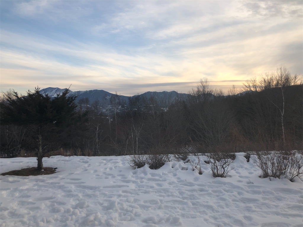 f:id:morityon:20210203224927j:image
