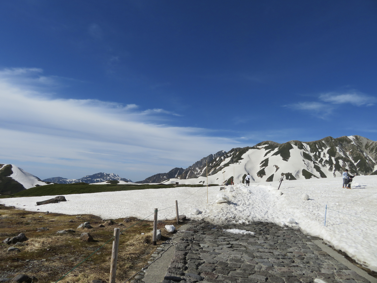 山の遊歩道