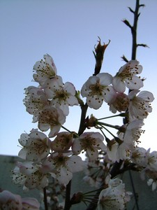 f:id:moriyu:20030101000017j:image:right