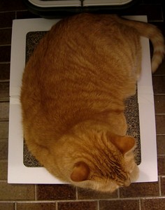 f:id:moriyu:20080804133854j:image:right
