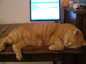 f:id:moriyu:20080907005907j:image