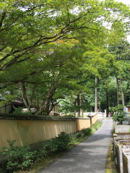 f:id:moriyu:20090709223918j:image