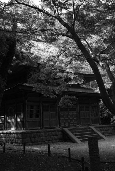 f:id:moriyu:20091101102249j:image
