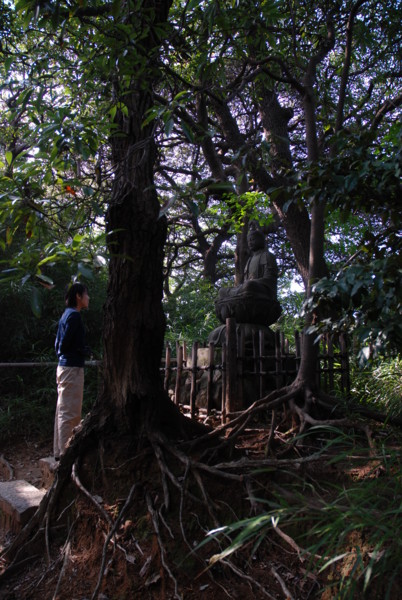 f:id:moriyu:20091101102254j:image