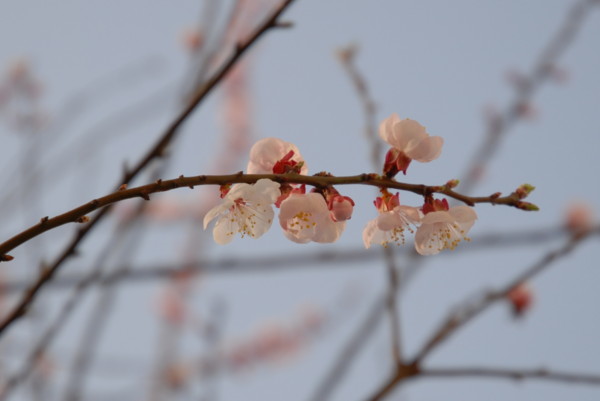 f:id:moriyu:20100320073942j:image