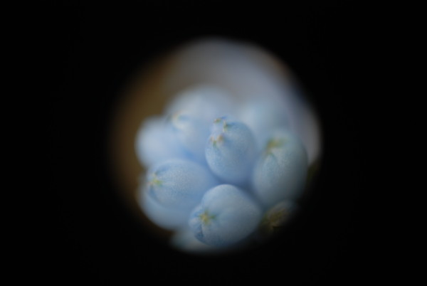 f:id:moriyu:20100410145911j:image
