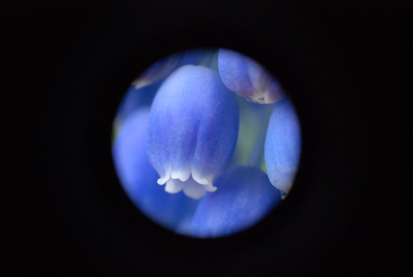 f:id:moriyu:20100411180057j:image