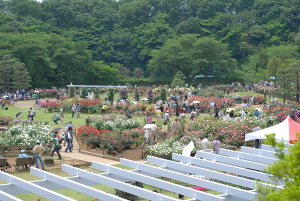 f:id:moriyu:20100522212702j:image f:id:moriyu:20100522212702j:image