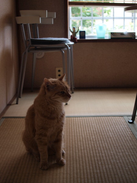 f:id:moriyu:20100711054547j:image