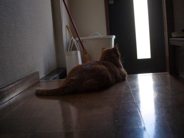f:id:moriyu:20100711054548j:image