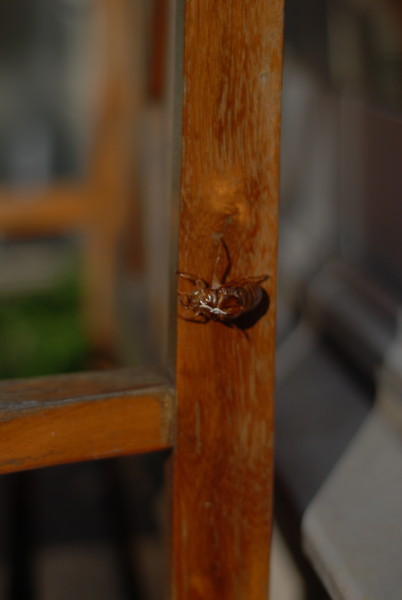 f:id:moriyu:20100725135616j:image