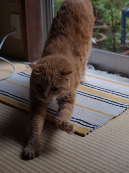f:id:moriyu:20100731145413j:image