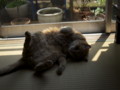 20110518211930